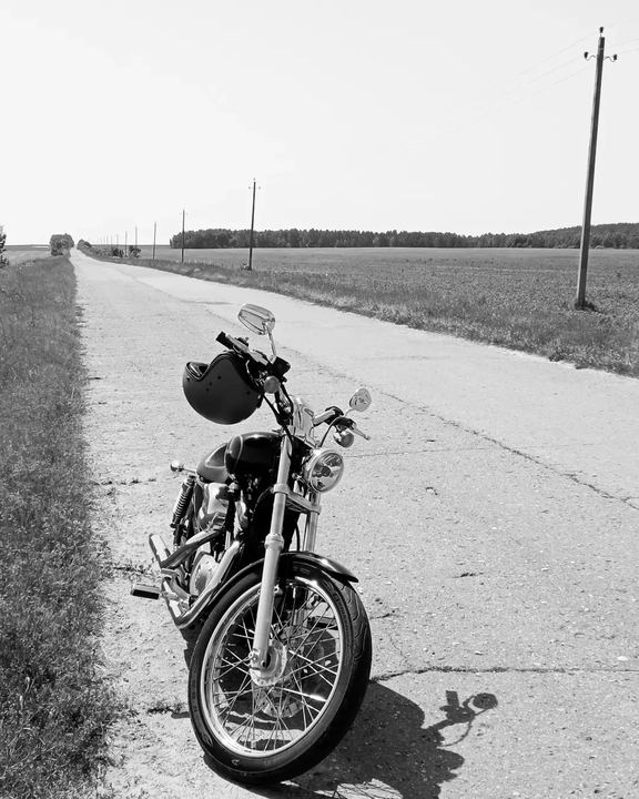 Photo_8